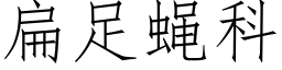 扁足蝇科 (仿宋矢量字库)