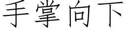 手掌向下 (仿宋矢量字庫)