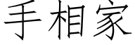 手相家 (仿宋矢量字庫)