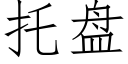 托盘 (仿宋矢量字库)