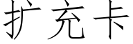 扩充卡 (仿宋矢量字库)