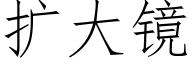 扩大镜 (仿宋矢量字库)