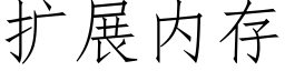 扩展内存 (仿宋矢量字库)