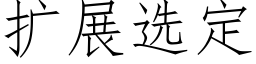 扩展选定 (仿宋矢量字库)