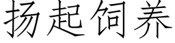 扬起饲养 (仿宋矢量字库)