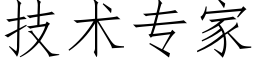 技术专家 (仿宋矢量字库)