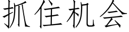 抓住機會 (仿宋矢量字庫)