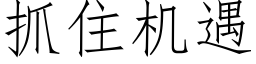 抓住機遇 (仿宋矢量字庫)