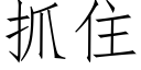 抓住 (仿宋矢量字库)