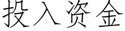 投入資金 (仿宋矢量字庫)