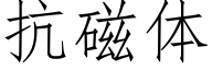 抗磁體 (仿宋矢量字庫)
