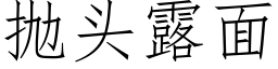 抛头露面 (仿宋矢量字库)