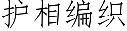 護相編織 (仿宋矢量字庫)