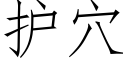 护穴 (仿宋矢量字库)