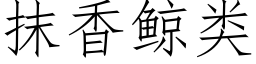 抹香鲸類 (仿宋矢量字庫)