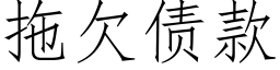 拖欠债款 (仿宋矢量字库)