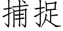 捕捉 (仿宋矢量字库)