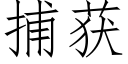 捕获 (仿宋矢量字库)