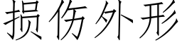 损伤外形 (仿宋矢量字库)