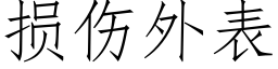 损伤外表 (仿宋矢量字库)