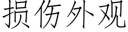 损伤外观 (仿宋矢量字库)