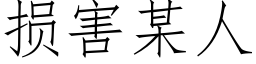 損害某人 (仿宋矢量字庫)