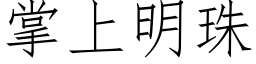 掌上明珠 (仿宋矢量字庫)