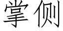 掌側 (仿宋矢量字庫)