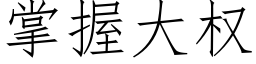 掌握大权 (仿宋矢量字库)