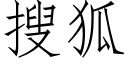 搜狐 (仿宋矢量字库)