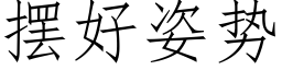 擺好姿勢 (仿宋矢量字庫)