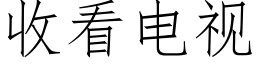 收看電視 (仿宋矢量字庫)