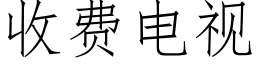 收费电视 (仿宋矢量字库)