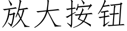 放大按鈕 (仿宋矢量字庫)