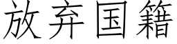 放棄國籍 (仿宋矢量字庫)