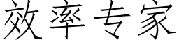 效率專家 (仿宋矢量字庫)