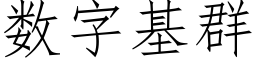 数字基群 (仿宋矢量字库)