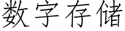 数字存储 (仿宋矢量字库)