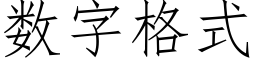 数字格式 (仿宋矢量字库)