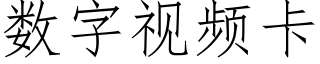 数字视频卡 (仿宋矢量字库)