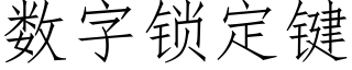 数字锁定键 (仿宋矢量字库)