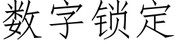 数字锁定 (仿宋矢量字库)