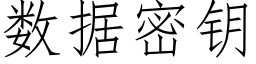 数据密钥 (仿宋矢量字库)