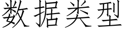 數據類型 (仿宋矢量字庫)