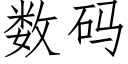 數碼 (仿宋矢量字庫)