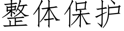 整體保護 (仿宋矢量字庫)