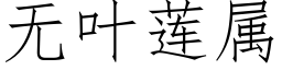 无叶莲属 (仿宋矢量字库)