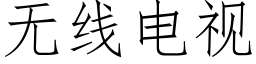 無線電視 (仿宋矢量字庫)