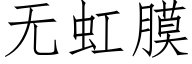 无虹膜 (仿宋矢量字库)