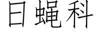 日蠅科 (仿宋矢量字庫)